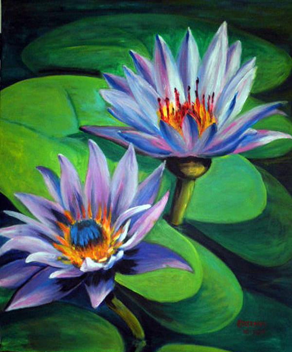 nature-two-lotus-blossoms-on-water